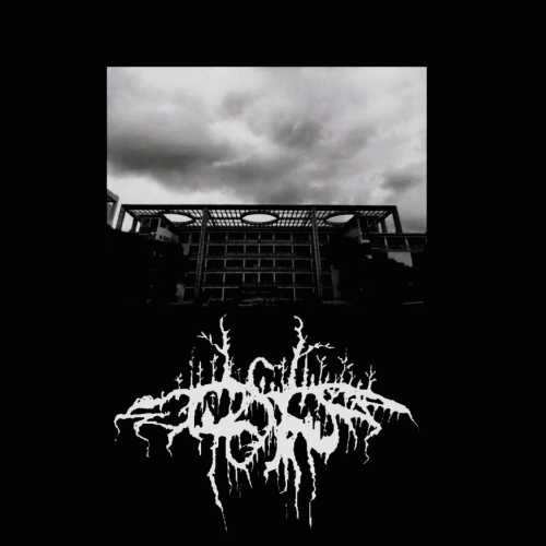 Chen SiruiAlex : Shangxuehei